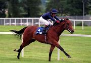 9 June 1999; Mull of Kintyre, with Michael Kinane up, on their way to winning the E.B.F. 2 Y.O. Maiden at Leopardstown Racecourse in Dublin. Photo by Matt Browne/Sportsfile