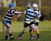 2 March 2006; Sean Barron, Blackrock College, in action against Terenure College. Coca-Cola Dublin Schools Juvenile C U14 Hurling Competition, Blackrock College v Terenure College, Deerpark, Dublin. Picture credit: Brian Lawless / SPORTSFILE