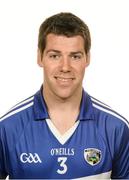 8 May 2014; Conor Dunne, Laois. Laois Hurling Squad Portraits 2014, O'Moore Park, Portlaoise, Co. Laois. Picture credit: Brendan Moran / SPORTSFILE