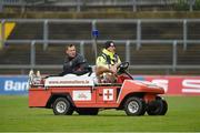 10 May 2014; Nick Williams, Ulster, is stretchered off the pitch. Celtic League 2013/14, Round 22, Munster v Ulster, Thomond Park, Limerick. Picture credit: Diarmuid Greene / SPORTSFILE