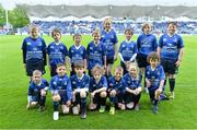 10 May 2014; Leinster Rugby Mascots before the game. Celtic League 2013/14, Round 22, Leinster v Edinburgh, RDS, Ballsbridge, Dublin. Picture credit: Brendan Moran / SPORTSFILE