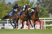 11 May 2014; Ebanoran, right, with Declan McDonogh up, appears to interfere with Fascinating Rock, left, with PJ Smullen, ahead of Geoffrey Chaucer, with Joseph O'Brien up, as they race towards the finish on their way to winning The Derrinstown Stud Derby Trial Stakes a result which was reversed after a stewards inquiry. Horse Racing from Leopardstown, Co. Dublin. Picture credit: Barry Cregg / SPORTSFILE