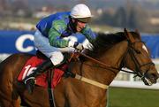 15 March 2006; You're Special, with Mr. Richard Harding up, on their way to winning the Fulke Walwyn Kim Muir Challenge Cup Handicap Steeple Chase. Cheltenham Festival, Prestbury Park, Cheltenham, England. Picture credit: Bendan Moran / SPORTSFILE