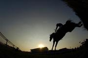 15 March 2006; You're Special, with Mr. Richard Harding up, clear the last on their way to winning the Fulke Walwyn Kim Muir Challenge Cup Handicap Steeple Chase. Cheltenham Festival, Prestbury Park, Cheltenham, England. Picture credit: Brendan Moran / SPORTSFILE