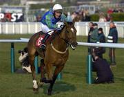 15 March 2006; You're Special, with Mr. Richard Harding up, race clear of the last on their way to winning the Fulke Walwyn Kim Muir Challenge Cup Handicap Steeple Chase. Cheltenham Festival, Prestbury Park, Cheltenham, England. Picture credit: Brendan Moran / SPORTSFILE