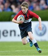 17 May 2014; Action from the half-time mini games between Old Wesley RFC and Seapoint RFC. Celtic League 2013/14 Play-off, Leinster v Ulster, RDS, Ballsbridge, Dublin. Picture credit: Ramsey Cardy / SPORTSFILE