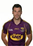 20 May 2014; Graeme Molloy, Wexford. Wexford Football Squad Portraits 2014, Gold Coast Hotel, Dungarvan, Co.Waterford. Picture credit: Barry Cregg / SPORTSFILE