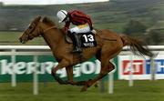 27 April 2006; Asian Maze, with Ruby Walsh up, on their way to winning the Whitewater Champion Stayers' Hurdle. Punchestown Racecourse, Co. Kildare. Picture credit: Matt Browne / SPORTSFILE