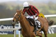 27 April 2006; Asian Maze, with Ruby Walsh up, races to the finish to win the Whitewater Champion Stayers' Hurdle. Punchestown Racecourse, Co. Kildare. Picture credit: Brian Lawless / SPORTSFILE