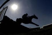 28 April 2006; Macs Joy, with Barry Geraghty up, jumps the last on their way to winning the ACCBank Champion Hurdle. Punchestown Racecourse, Co. Kildare. Picture credit: Matt Browne / SPORTSFILE