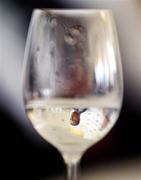 23 May 2006; A reflected image in a glass of water of Republic of Ireland goalkeeper Shay Given speaking at a press conference. Estrela Da Luz, Luz, Portugal. Picture credit; David Maher / SPORTSFILE