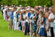 19 June 2014; Spectators during day 1 of the 2014 Irish Open Golf Championship. Fota Island, Cork. Picture credit: Diarmuid Greene / SPORTSFILE
