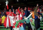 8 August 1999; Cork fans celebrate after the Guinness All-Ireland Hurling Senior Championship Semi-Final match between Cork and Offaly at Croke Park in Dublin. Photo by Aoife Rice/Sportsfile