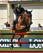 6 August 2014; Darragh Kenny, Ireland, competing on Picolo, clears the last to win the Irish Sports Council Classic. Fáilte Ireland Dublin Horse Show 2014, RDS, Ballsbridge, Dublin. Picture credit: Barry Cregg / SPORTSFILE