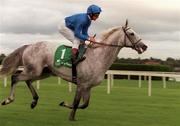 11 September 1999; Daylami, with Frankie Dettori up, go to post during horse racing at Leopardstown Racecourse in Dublin. Photo by Ray McManus/Sportsfile