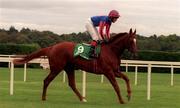 11 September 1999; Sunspangled, with Seamus Heffernan up, go to post during horse racing at Leopardstown Racecourse in Dublin. Photo by Ray McManus/Sportsfile