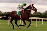 11 September 1999; Royal Anthem, with Gary Stevens up, go to post during horse racing at Leopardstown Racecourse in Dublin. Photo by Ray McManus/Sportsfile