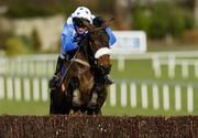 14 January 2007; Oran Climate, with John Cullen up, on their way to winning the P.B.S Beginners Steeplechase. Leopardstown Racecourse, Leopardstown, Dublin. Photo by Sportsfile *** Local Caption ***