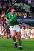 4 August 1996; Mark Foley of Limerick during the GAA Hurling All-Ireland Senior Championship Semi-Final between Limerick and Antrim at Croke Park in Dublin. Photo by Brendan Moran/Sportsfile