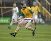 10 February 2007; Francis Devaney, Toomevara. AIB All-Ireland Senior Club Hurling Semi-Final, Ballyhale Shamrocks v Toomevara, O'Moore Park, Portlaoise, Co. Laois. Picture Credit: Ray McManus / SPORTSFILE