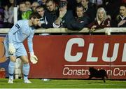 26 September 2014; A black cat runs past Shamrock Rovers goalkeeper Barry Murphy. SSE Airtricity League Premier Division, St Patrick's Athletic v Shamrock Rovers, Richmond Park, Dublin. Picture credit: David Maher / SPORTSFILE