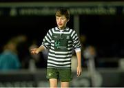 26 September 2014; Action from Greystones RFC and North Kildare RFC, during the Bank of Ireland's Half-Time Minis. Guinness PRO12, Round 4, Leinster v Cardiff Blues, RDS, Ballsbridge, Dublin. Picture credit: Piaras Ó Mídheach / SPORTSFILE