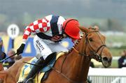 15 March 2007; Jockey Ruby Walsh aboard Taranis. Cheltenham Racing Festival, Prestbury Park, Cheltenham, England. Photo by Sportsfile