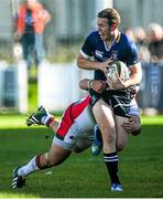 11 October 2014; Rory O'Loughlin, Leinster A, attempts to break through the Plymouth Albion defence. British & Irish Cup, Round 1, Plymouth Albion v Leinster A. Brickfields, Plymouth, England. Picture credit: Tristan Potter / SPORTSFILE