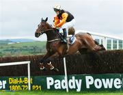 24 April 2007; Red Setter, with Andrew Kinirons up, clears the last on their way to winning the DNG Nationwide Cross Country Steeplechase. Punchestown National Hunt Festival, Punchestown Racecourse, Co. Kildare. Picture credit: David Maher / SPORTSFILE