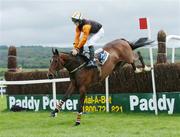 24 April 2007; Red Setter, with Andrew Kinirons up, clears the last on their way to winning the DNG Nationwide Cross Country Steeplechase. Punchestown National Hunt Festival, Punchestown Racecourse, Co. Kildare. Picture credit: David Maher / SPORTSFILE