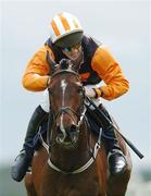 24 April 2007; Red Setter, with Andrew Kinirons up, on their way to winning the DNG Nationwide Cross Country Steeplechase. Punchestown National Hunt Festival, Punchestown Racecourse, Co. Kildare. Photo by Sportsfile