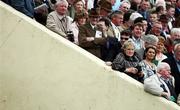 24 April 2007; Racegoers watch on at the Punchestown National Hunt Festival. Punchestown Racecourse, Co. Kildare. Picture credit: David Maher / SPORTSFILE