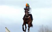 24 April 2007; Offshore Account, with Denis Regan up, on their way to winning the Ellier Developments Hanover Quay Champion Novice Steeplechase. Punchestown National Hunt Festival, Punchestown Racecourse, Co. Kildare. Picture credit: David Maher / SPORTSFILE