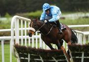 25 April 2007; Phantom Lad, with Robbie Power up, clears the last on their way to winning the AON Hurdle. Punchestown National Hunt Festival, Punchestown Racecourse, Co. Kildare. Picture credit: Brian Lawless / SPORTSFILE