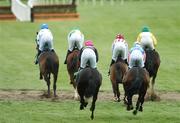 24 April 2007; A general view of runners and riders. Punchestown National Hunt Festival, Punchestown Racecourse, Co. Kildare. Photo by Sportsfile