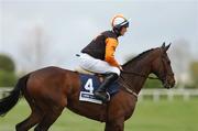 24 April 2007; Jockey Andrew Kinirons aboard Red Setter. Punchestown National Hunt Festival, Punchestown Racecourse, Co. Kildare. Photo by Sportsfile