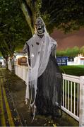 31 October 2014; Halloween decorations at the RDS ahead of the game. Guinness PRO12, Round 7, Leinster v Edinburgh, RDS, Ballsbridge, Dublin. Picture credit: Stephen McCarthy / SPORTSFILE