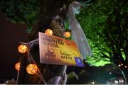 31 October 2014; Halloween decorations at the RDS ahead of the game. Guinness PRO12, Round 7, Leinster v Edinburgh, RDS, Ballsbridge, Dublin. Picture credit: Stephen McCarthy / SPORTSFILE