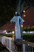 31 October 2014; Halloween decorations at the RDS ahead of the game. Guinness PRO12, Round 7, Leinster v Edinburgh, RDS, Ballsbridge, Dublin. Picture credit: Stephen McCarthy / SPORTSFILE