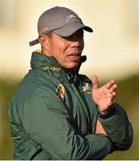 4 November 2014; South Africa assistant coach Ricardo Laubscher during squad training ahead of their Autumn International Rugy match against Ireland on Saturday at the Aviva Stadium. South Africa Squad Training, Blackrock College RFC, Stradbrook Road, Blackrock, Co. Dublin. Picture credit: Barry Cregg / SPORTSFILE