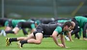 6 November 2014; Ireland's Jared Payne during squad training ahead of their Autumn International match against South Africa on Saturday. Ireland Rugby Squad Training, Carton House, Maynooth, Co. Kildare. Picture credit: Matt Browne / SPORTSFILE