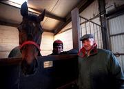 14 January 2000; Trainer Tom Foley and head lad Noel Hamilton, with Danoli, after the morining training run on the gallops at his Aghabeg Yard in Bagenalstown, Carlow. Photo by Matt Browne/Sportsfile