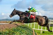 16 November 2014; Chancol, with Paul Carberry up, jumps the last on his way to winning the Madigans Bars Craddockstown Novice Steeplechase. Punchestown Horse Racing - Winter Festival, Punchestown, Co. Kildare. Picture credit: Barry Cregg / SPORTSFILE