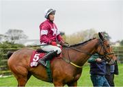 1 November 2014; Road to Riches, with Paul Carbery up, after winning the JNwine.com Champion Steeplechase. Down Royal Racecourse, Lisburn, Co. Down. Picture credit: Oliver McVeigh / SPORTSFILE