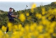 12 July 2007; Padraig Harrington watches his drive from the 11th tee box. Irish PGA Golf Championship, 2nd Round, European Club Golf Club, Brittas Bay, Co. Wicklow. Picture credit: Matt Browne / SPORTSFILE