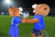 29 November 2014; Leona the Lioness and Leo the Lion Celebrate One Year Anniversary at Guinness PRO12, Round 9, Leinster v Ospreys, RDS, Ballsbridge, Dublin Picture credit: Pat Murphy / SPORTSFILE