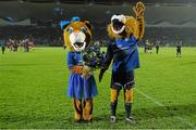 29 November 2014; Leona the Lioness and Leo the Lion Celebrate One Year Anniversary at Guinness PRO12, Round 9, Leinster v Ospreys, RDS, Ballsbridge, Dublin Picture credit: Pat Murphy / SPORTSFILE