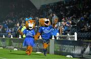 29 November 2014; Leona the Lioness and Leo the Lion Celebrate One Year Anniversary at Guinness PRO12, Round 9, Leinster v Ospreys, RDS, Ballsbridge, Dublin Picture credit: Ramsey Cardy / SPORTSFILE