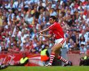 29 July 2007; Sean Og O hAilpin, Cork. Guinness All-Ireland Senior Hurling Championship Quarter-Final, Cork v Waterford, Croke Park, Dublin. Picture credit; Ray McManus / SPORTSFILE