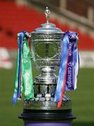 28 April 2007; The Carnegie Premier League cup. Carnegie Premier League, Linfield v Crusaders, Windsor Park, Belfast, Co. Antrim. Picture credit; Oliver McVeigh / SPORTSFILE